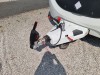Used Swift Sprite Alpine 4 2023 touring caravan Image