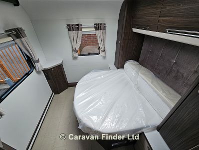 Buccaneer Bermuda 2025 (Trade) image 6