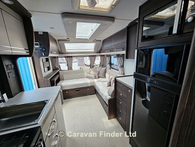 Buccaneer Bermuda 2025 (Trade) image 8